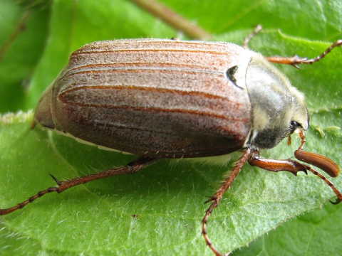 как определить погоду по приметам