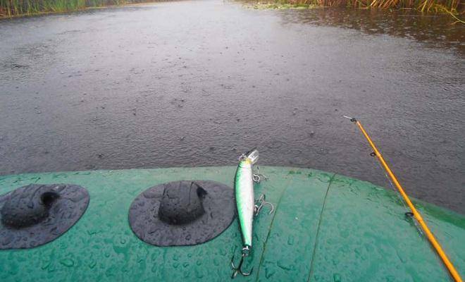 Когда клюет щука? Места обитания, календарь, условия и приманки