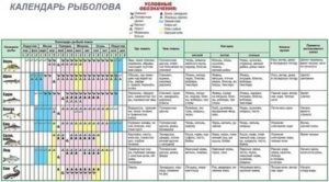 В какую погоду лучше клюёт карась: как отражается северный ветер на рыбе, клюёт ли в холодную и