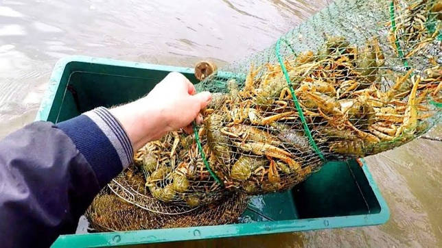 Калаус: рыбалка и какая рыба водится