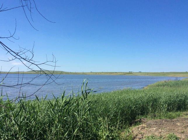 Калаус: рыбалка и какая рыба водится