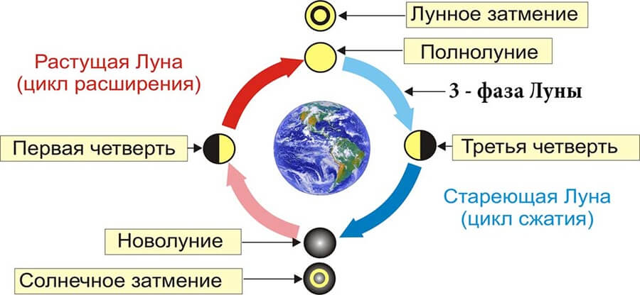 Лунные циклы