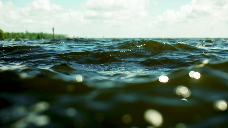 Ветер, волны, и клев рыбы