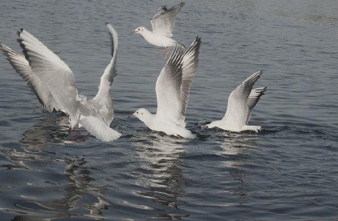 Определяем место ловли