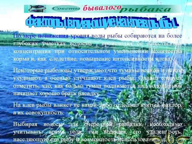 Лучшая погода для рыбалки, факторы влияющие на клёв