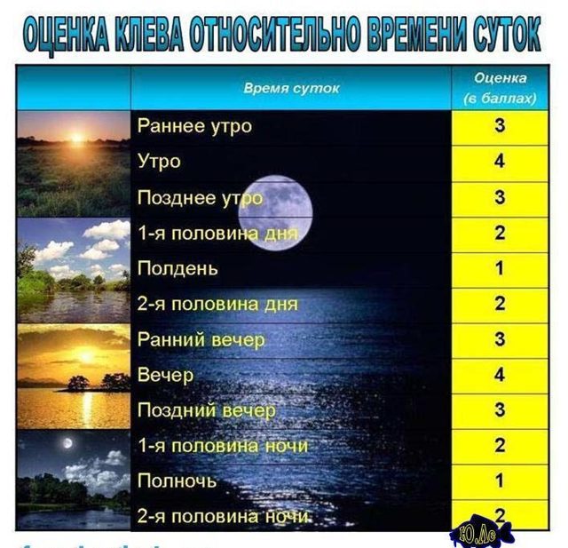 Лучшая погода для рыбалки, факторы влияющие на клёв