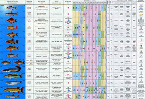 Рыболовный календарь, календарь рыболова на 2018 г.