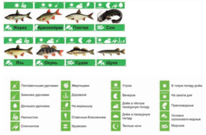 Лунный календарь благоприятных дней рыболова и клева рыбы на апрель 2018 года. Короткие рекомендации ловли рыбы в весенне-летний период