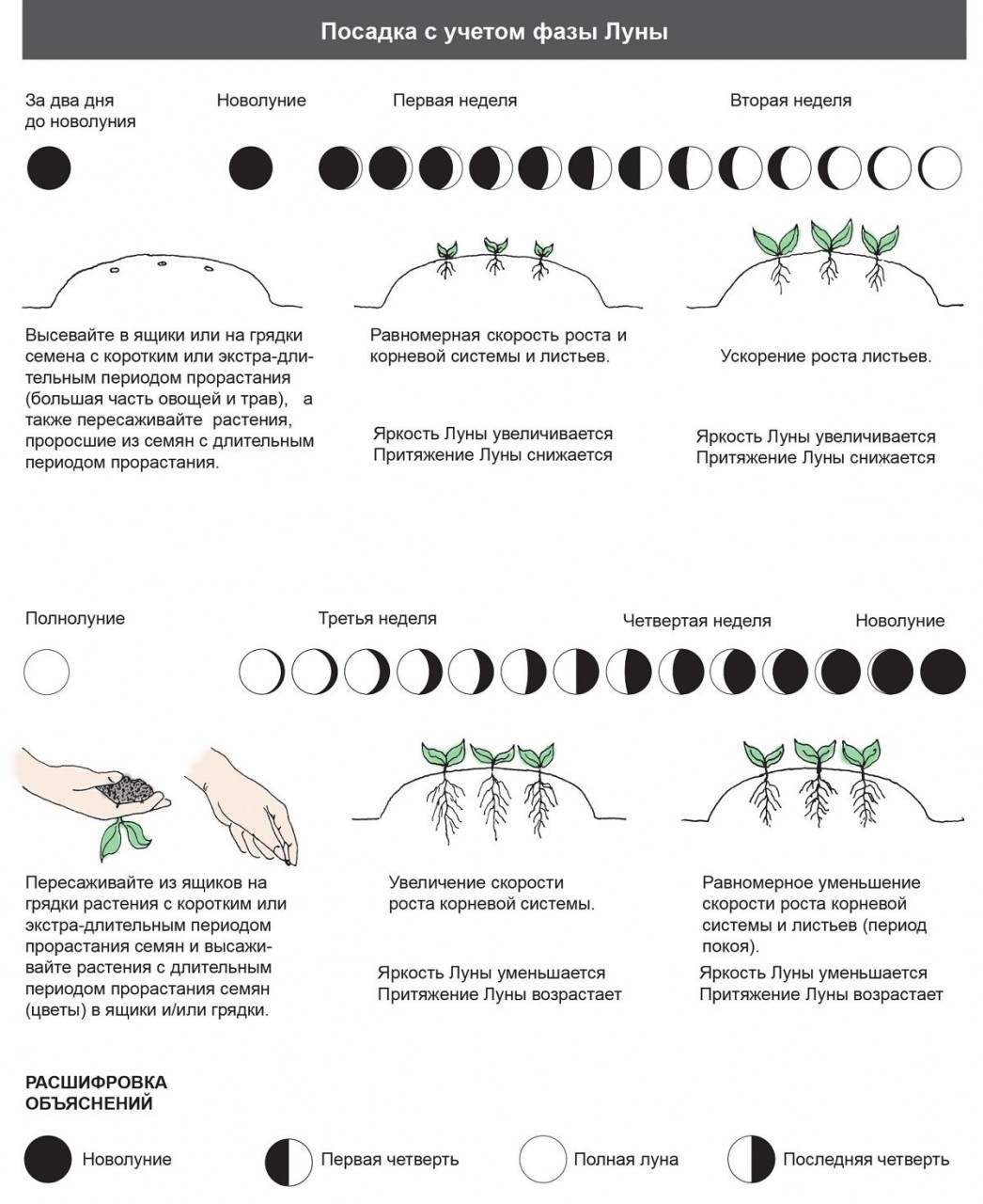 Посадка с учетом фазы луны
