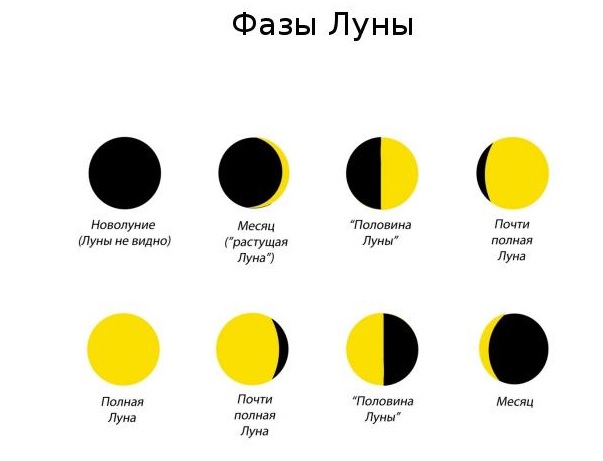 Лунный посевной календарь на 2019 год