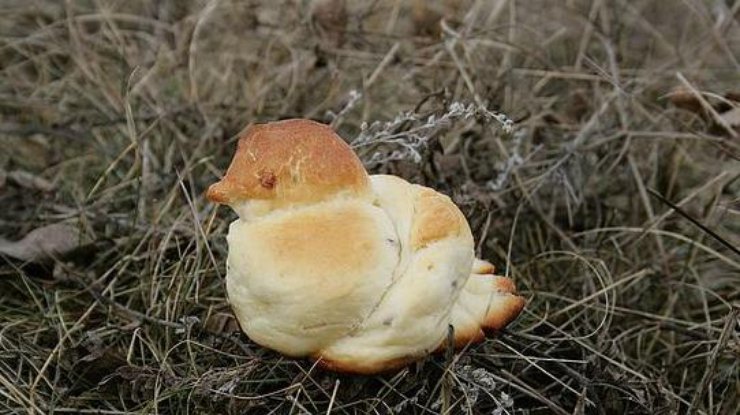 Какой ждать погоды на 40 святых 