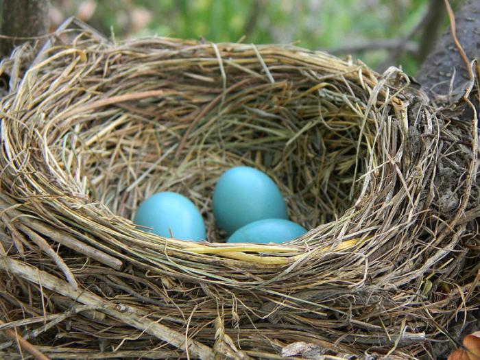 народные приметы на апрель