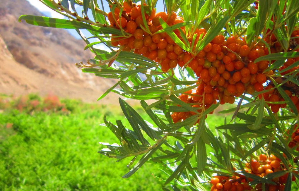 Заговоры и приметы на 24 августа 2019 года