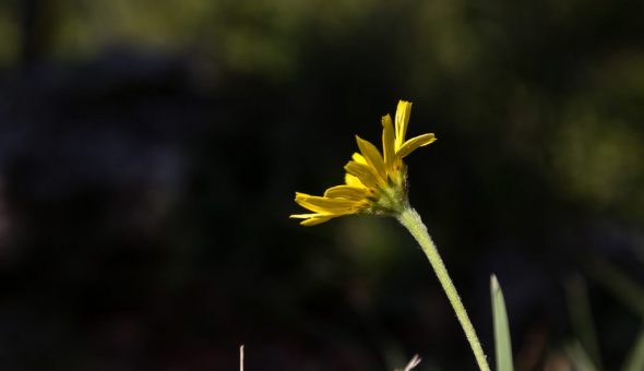 14 августа — Медовый Спас