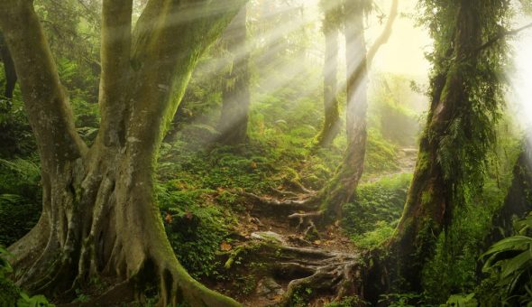 Согласно суевериям, 24 августа по земле блуждали призраки