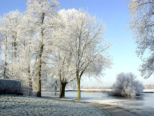 Народные приметы на декабрь 2019 года