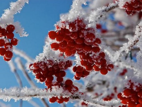 Народные приметы на декабрь 2020 года