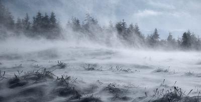 Февраль - месяц вьюг и метелей