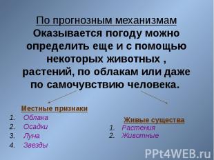 По прогнозным механизмам Оказывается погоду можно определить еще и с помощью нек