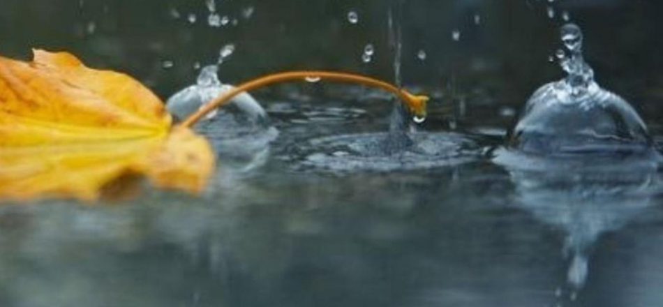 осенние народные приметы