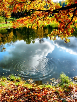 народные приметы про осень