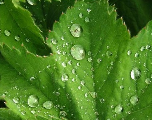 Народные приметы о погоде, которые действительно работают и проверены временем