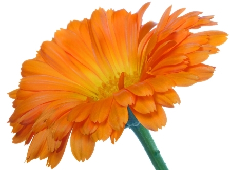 Народные приметы о погоде, которые действительно работают и проверены временем