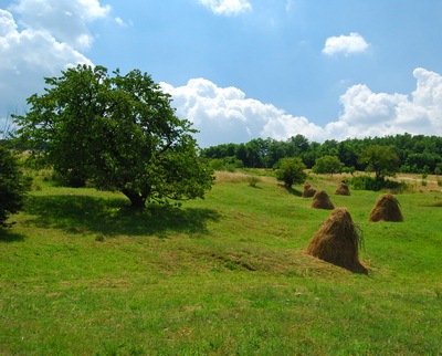 народные приметы летом о погоде