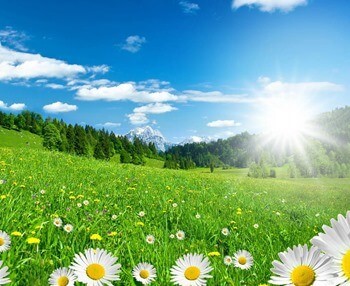 приметы про лето