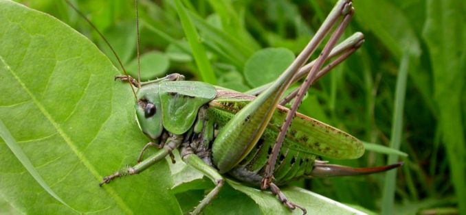 народные приметы летом о погоде