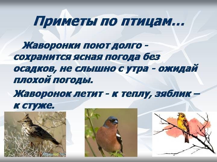 Народные приметы погоды