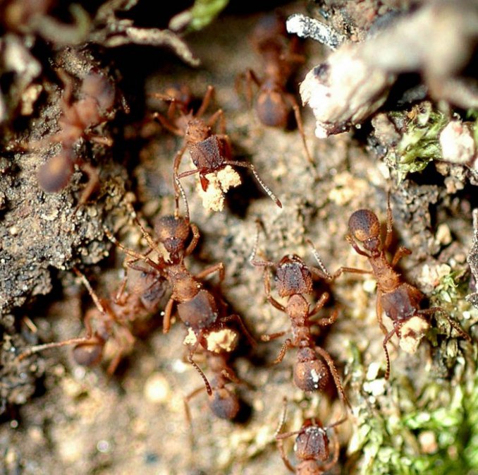 какие народные приметы существуют о перемене погоды