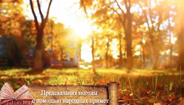 презентация на тему народные приметы с помощью которых предсказывают погоду