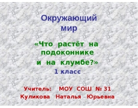 Что растёт на подоконнике и на клумбе 1 класс