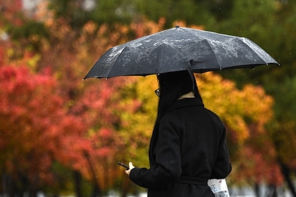 Москвичам напомнили о конце бабьего лета