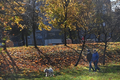 Россиянам рассказали о перспективах возвращения бабьего лета