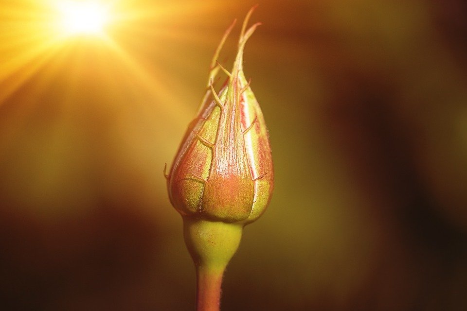 Правдивы ли русские приметы для предсказания погоды?