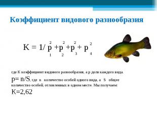 Коэффициент видового разнообразия где К коэффициент видового разнообразия, а р д
