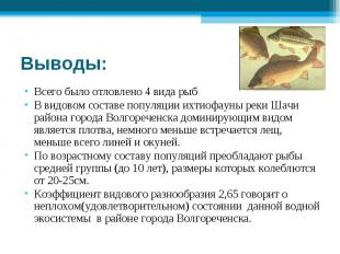 Выводы: Всего было отловлено 4 вида рыбВ видовом составе популяции ихтиофауны ре