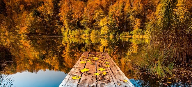 приметы на 15 октября