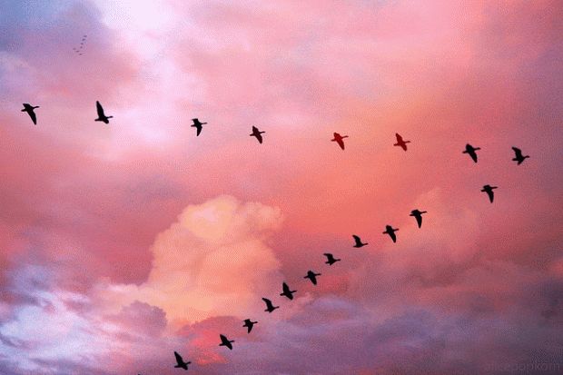 Приметы осени - на хорошую и плохую погоду