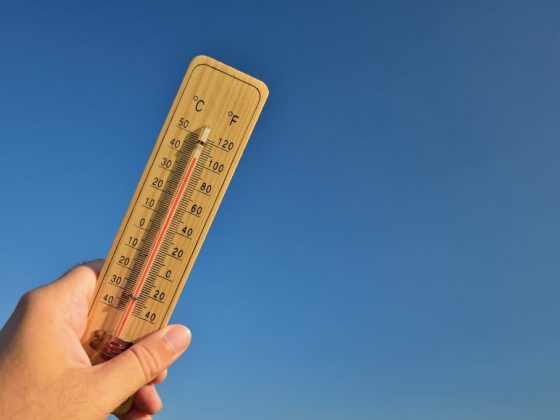 Приметы о погоде на август