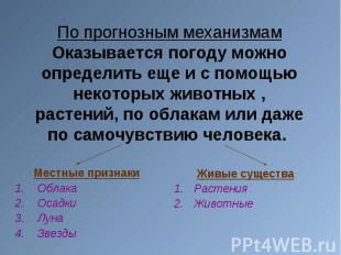Местные признаки Местные признаки Облака Осадки Луна Звезды