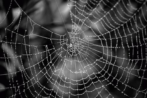 приметы про погоду