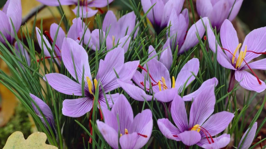 Приметы весны для детей. Весенние народные приметы о погоде