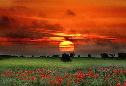 Природные приметы о погоде и непогоде