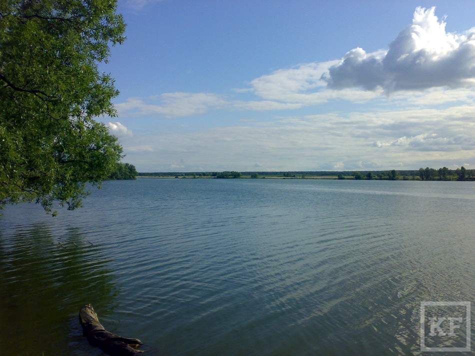 Прогноз клёва в Казани