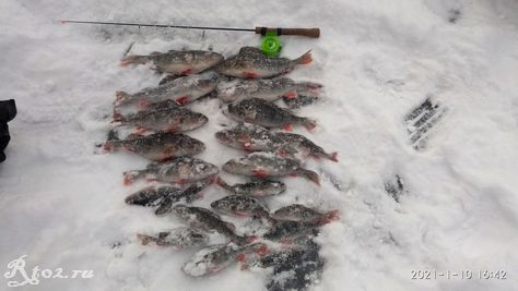 Прогноз клева рыбы в десногорске