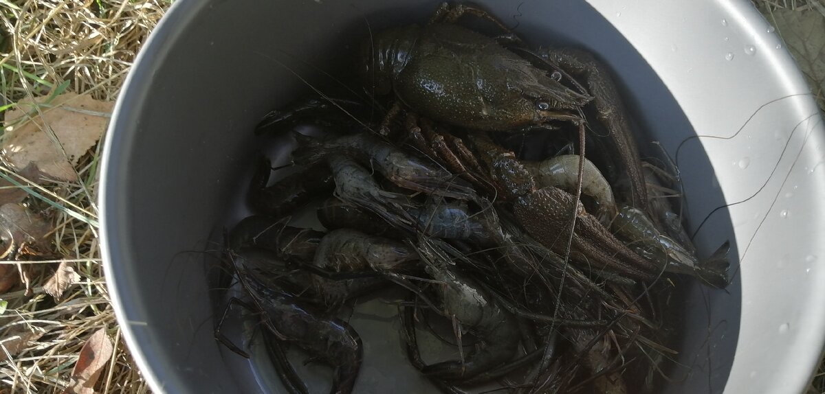 Прогноз клева рыбы в десногорске