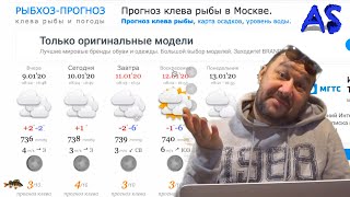 Прогноз клева рыбы на эту неделю киев